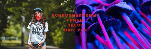 дживик Волоколамск